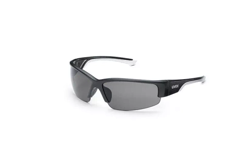 Gafas de protección Polavision 9231.960 