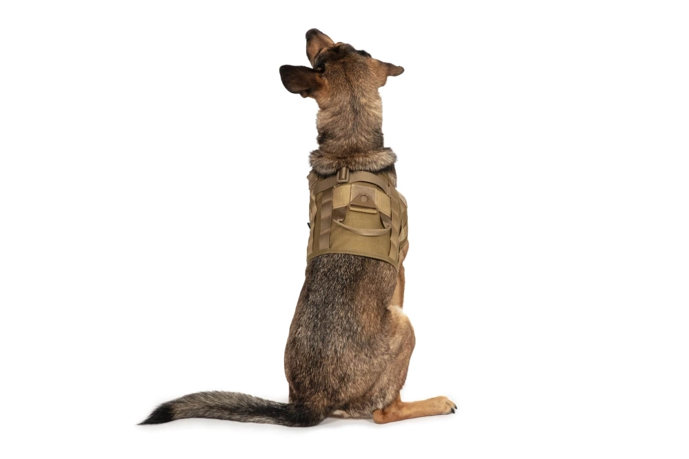 Light dog harness - tan