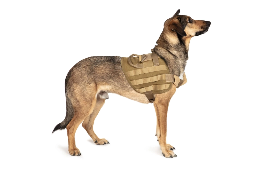 Light dog harness - tan