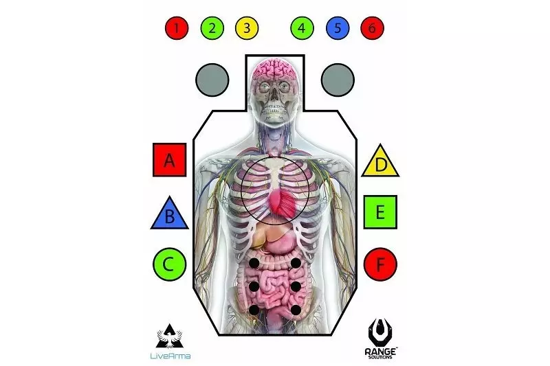 Tarcze strzeleckie Live Arma" - 50 szt."