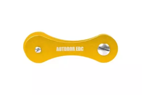 Key smart - gold