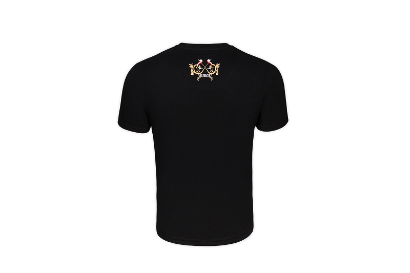 T-shirt Fighting Poland