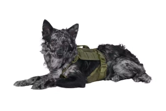 Tactical Dog Harness - Olive Drab