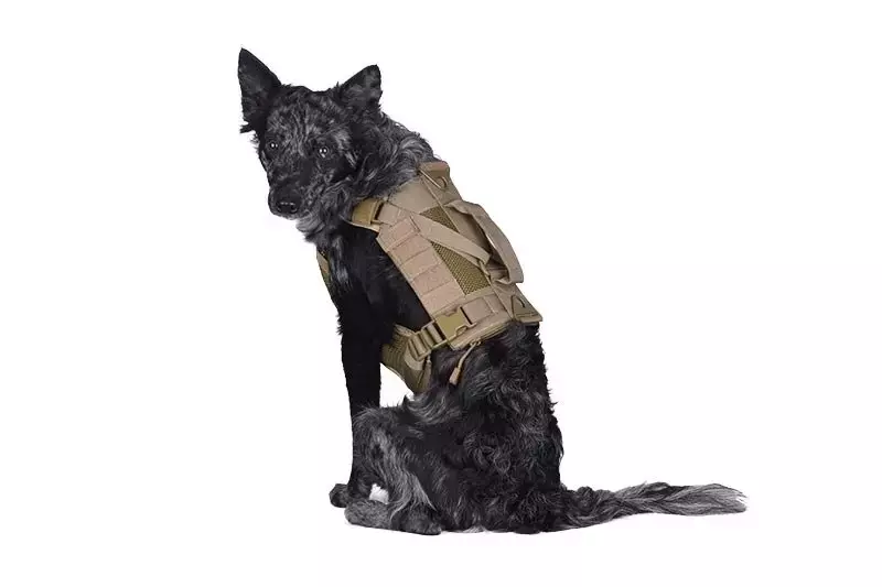 Szelki taktyczne dla psa Ochia - Coyote brown
