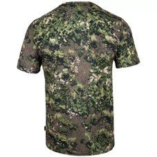 TTM-02 Caminaseta términaca MAPA