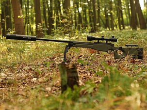 Viper Sound Tech 310x55 Silencer