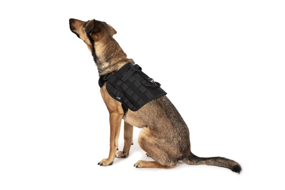 Light dog harness - black