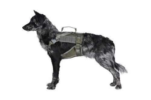Harnais tactique pour chiens - vert ranger