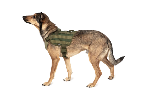 Light dog harness - olive