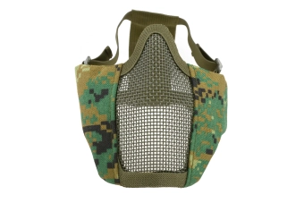 Máscara Stalker Evo - AOR2