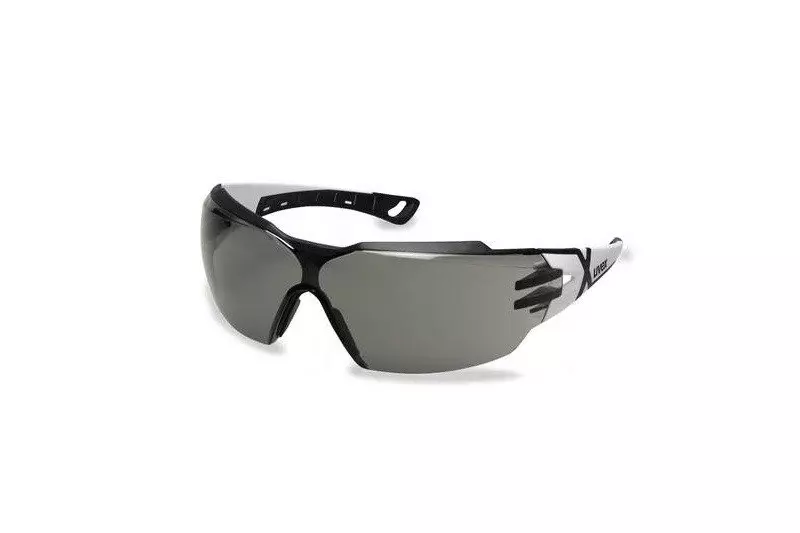 Lunettes de protection Pheos CX2 - teintées (9198.237) 