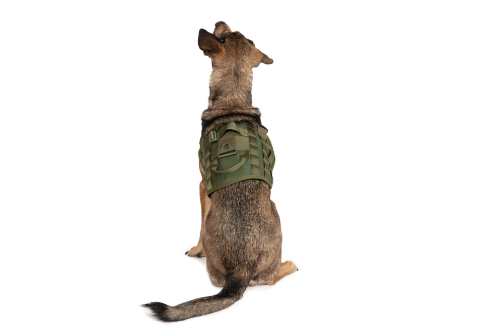 Chaleco ligero para perros - verde oliva