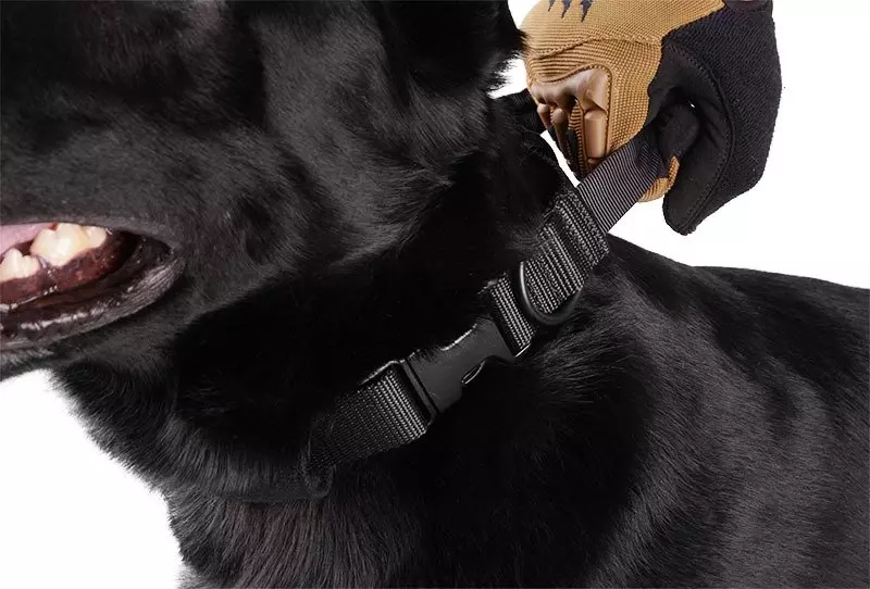 Tactical Dog Collar - Black