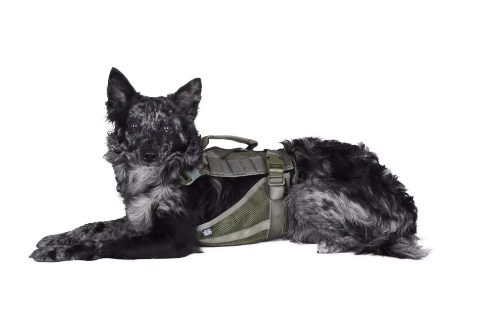 Tactical Dog Harness - Ranger Green