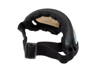 EX391P Goggles – Black