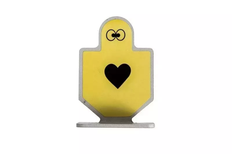 Metal Target Practice