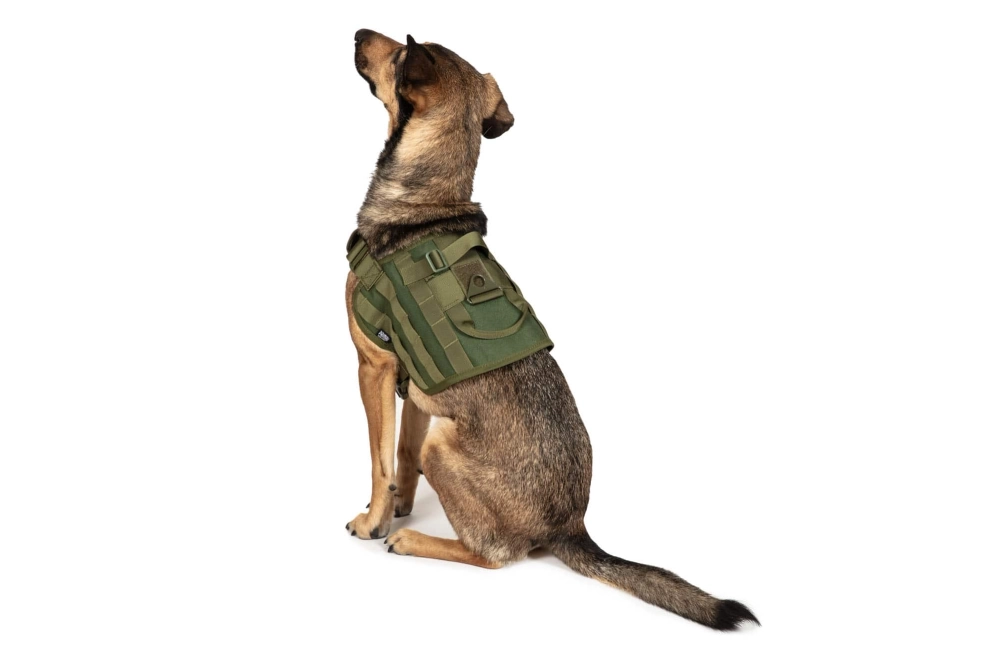 Light dog harness - olive