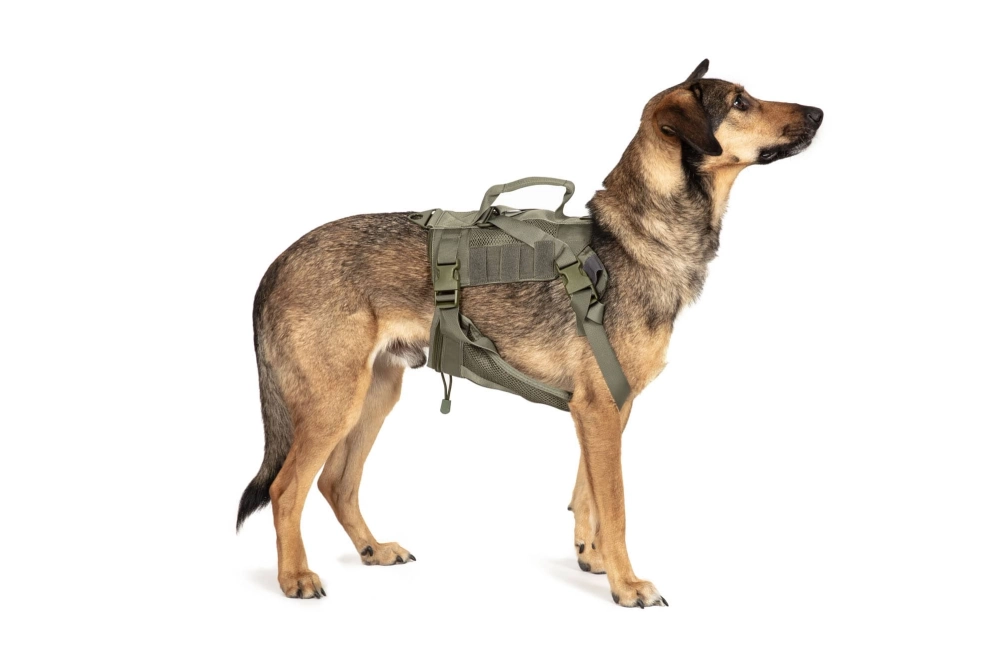 Tactical Dog Harness - Ranger Green