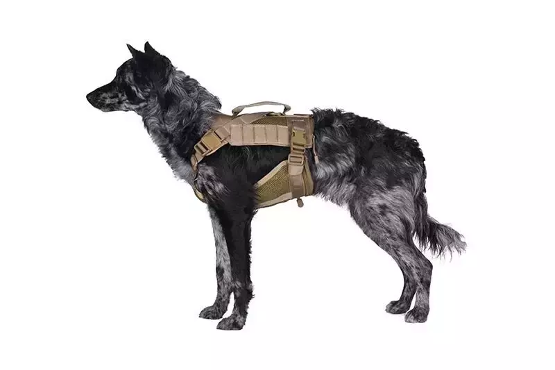 Taktický postroj pro psy Ochia - Kojotí hnědá