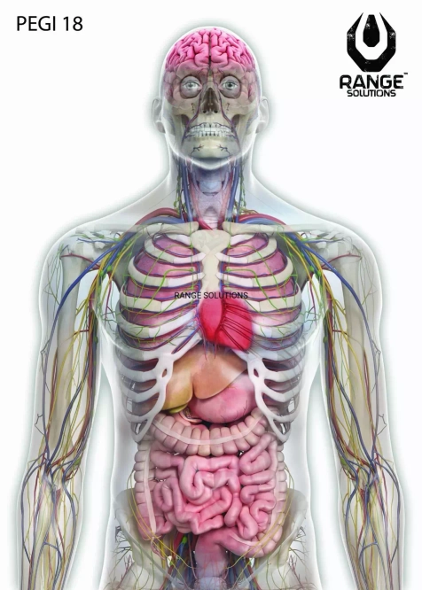 Escudos de tiro RS-Pegi18 - 500 unidades.