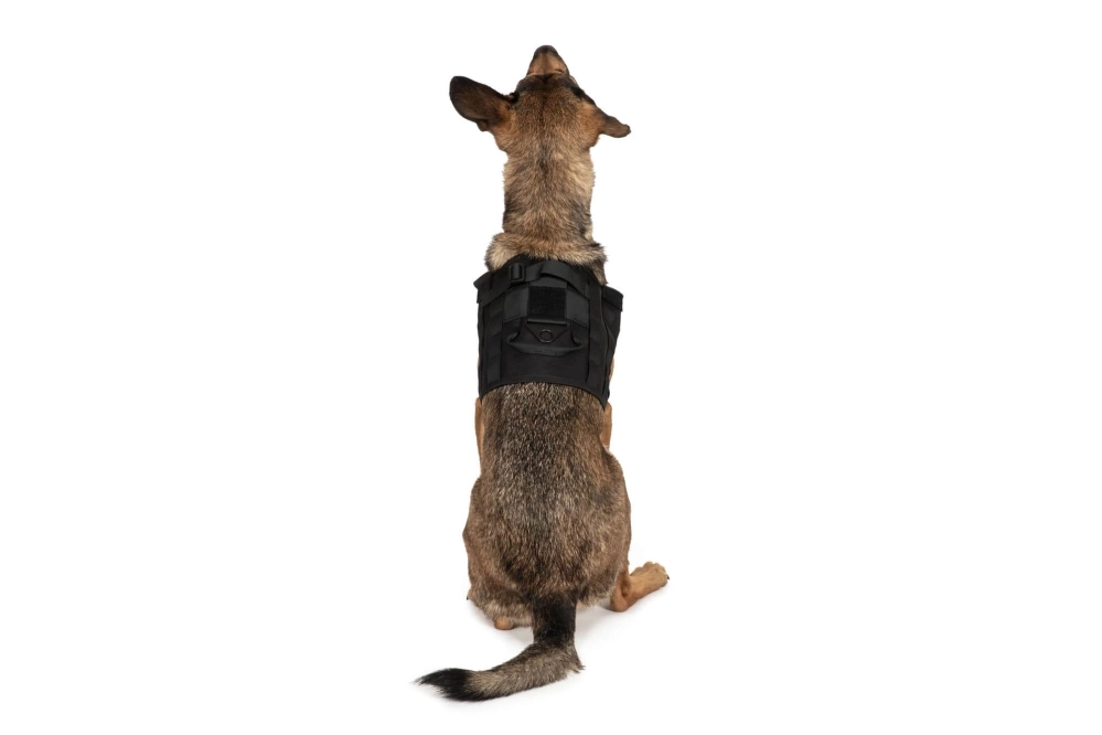 Light dog harness - black