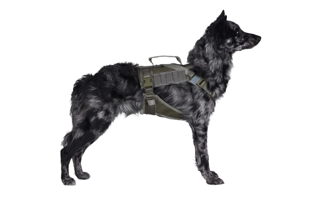 Tactical Dog Harness - Ranger Green