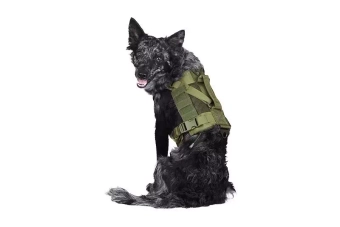 Harnais tactique pour chiens - vert olive