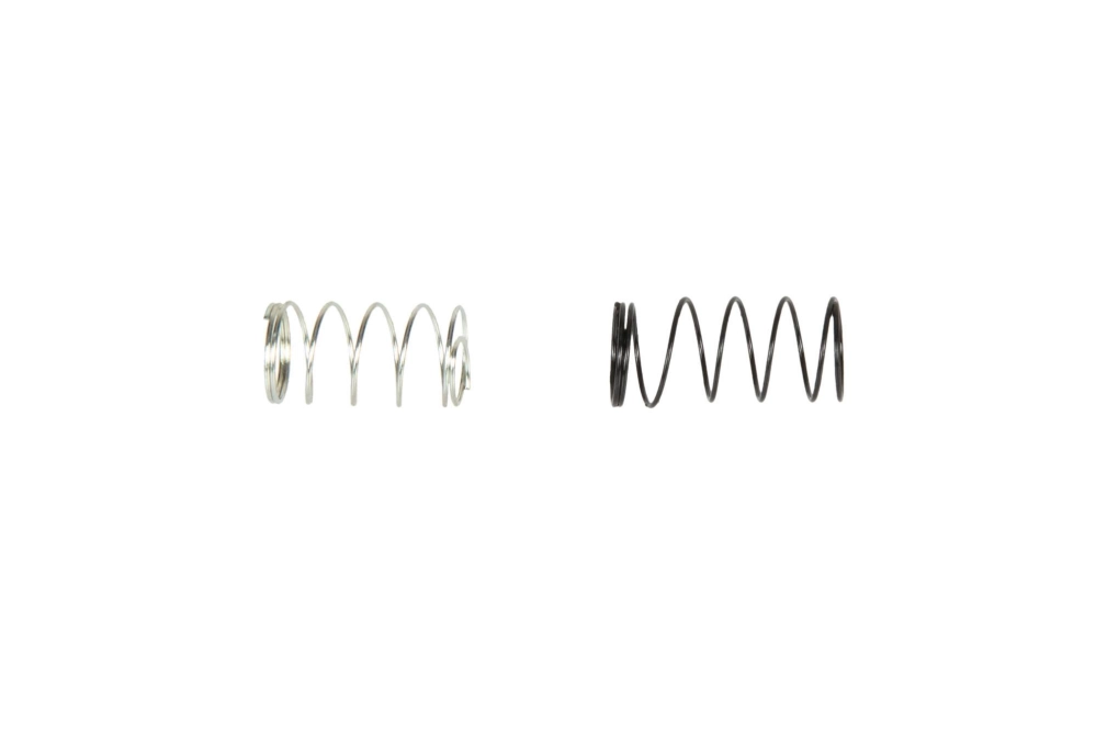 Set of 2 Nozzle Valve Springs