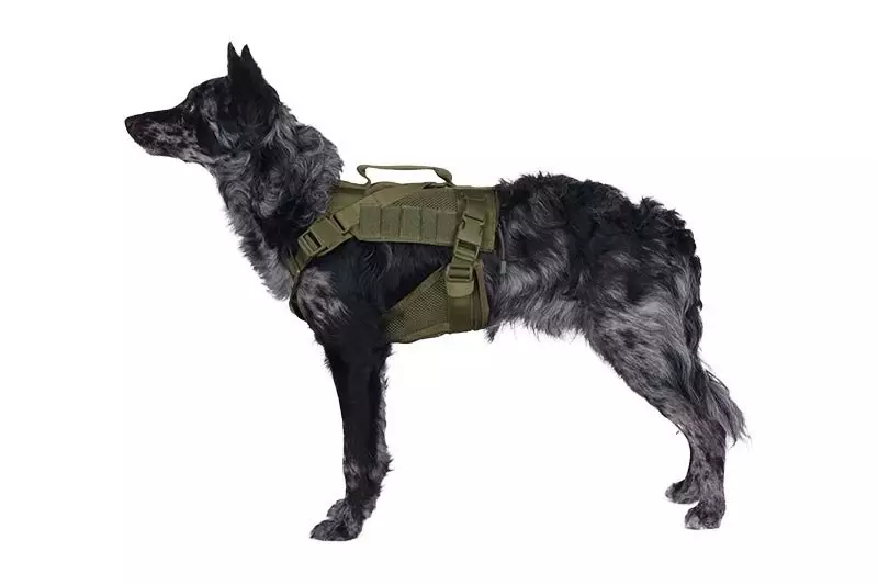 Tactical Dog Harness - Olive Drab