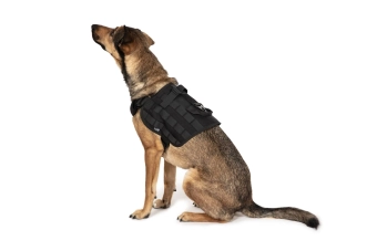 Light dog harness - black