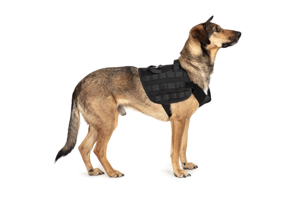 Light dog harness - black