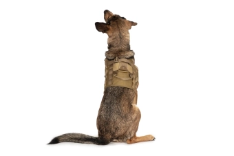 Light dog harness - tan