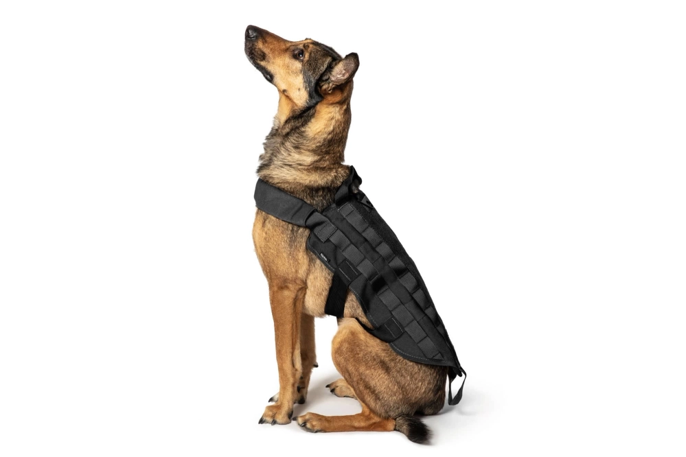 Gilet tactique pour chien - noir