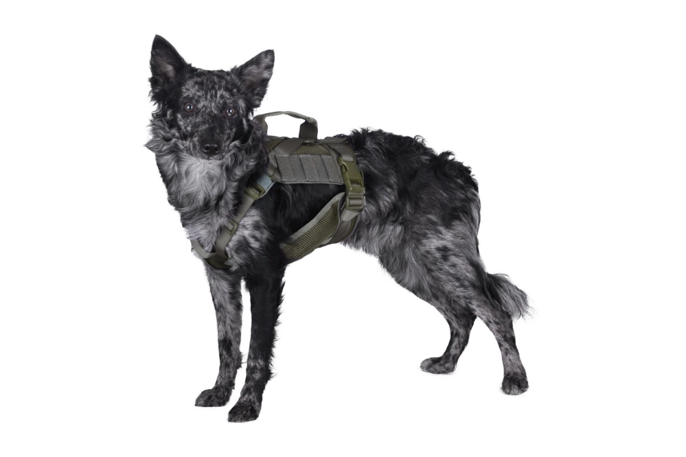 Tactical Dog Harness - Ranger Green