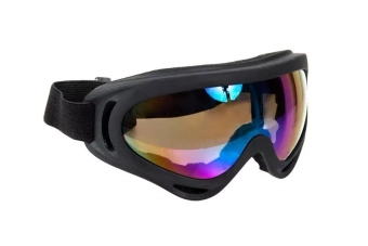 EX391P Goggles – Black