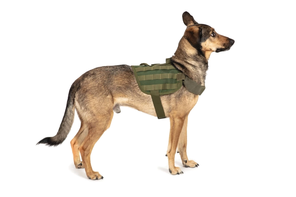 Light dog harness - olive