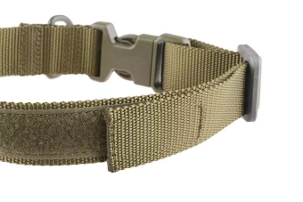 Collier tactique pour chien - vert olive