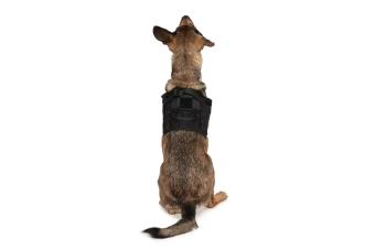 Light dog harness - black