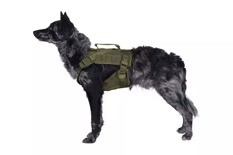 Arnés táctico para perros Ochia - Oliva