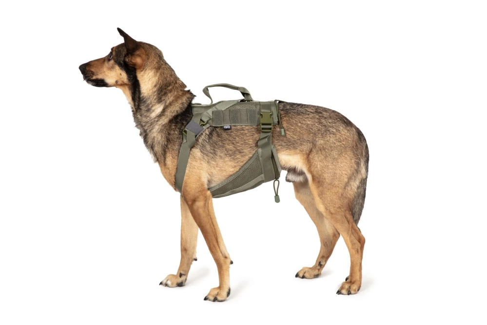 Harnais tactique pour chiens - Vert Ranger