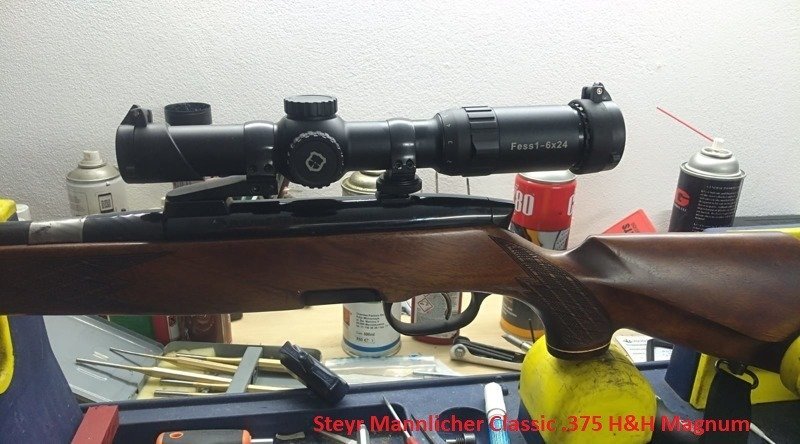 Luneta biegowa Fess 1-6X24