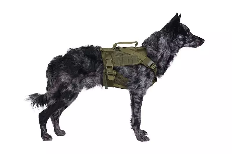 Tactical Dog Harness - Olive Drab