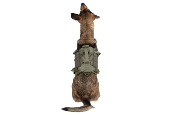 Harnais tactique pour chiens - Vert Ranger