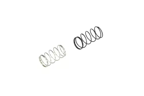 Set of 2 Nozzle Valve Springs