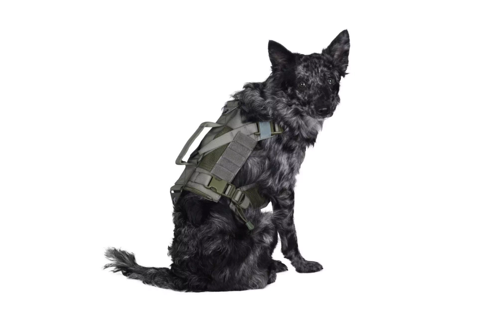 Tactical Dog Harness - Ranger Green
